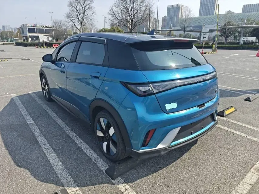 2021 BYD e2 BEV 43.2KWH,autocango,china used car exporter,china ev exporter,chinese used car exporter,chinese used ev exporter