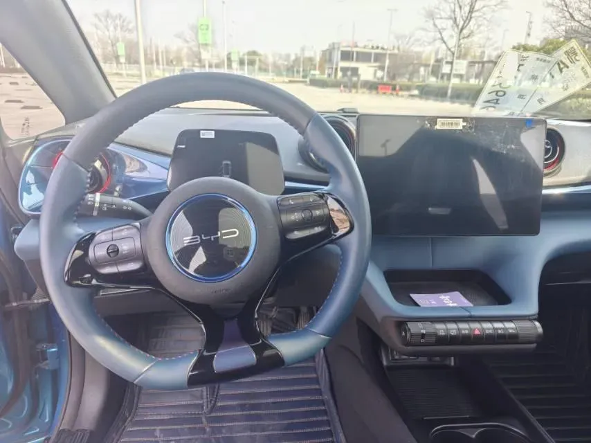 2021 BYD e2 BEV 43.2KWH,autocango,china used car exporter,china ev exporter,chinese used car exporter,chinese used ev exporter