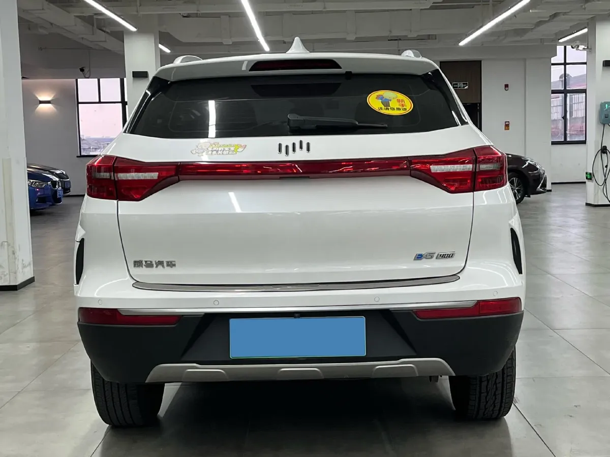 2020 Weltmeister EX5 BEV,autocango,china used car exporter,china ev exporter,chinese used car exporter,chinese used ev exporter