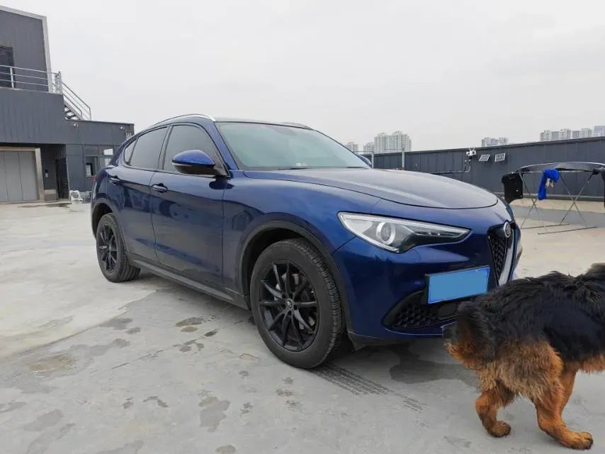 2017 Lexus NX 2.0T 238HP L4 6AT,autocango,china used car exporter,china ev exporter,chinese used car exporter,chinese used ev exporter