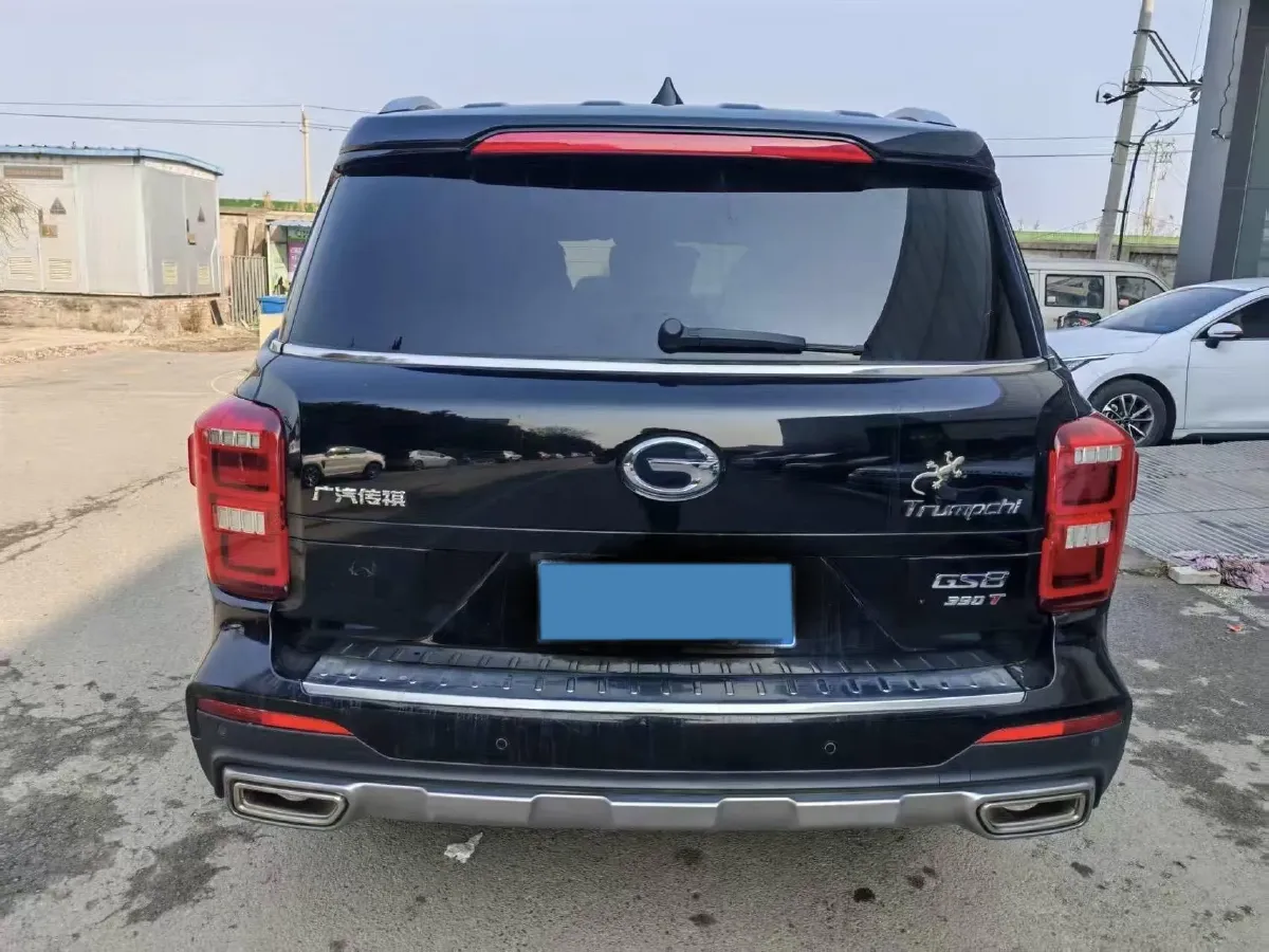 2021 GAC Trumpchi GS8 2.0T 252HP L4 6AT,autocango,china used car exporter,china ev exporter,chinese used car exporter,chinese used ev exporter
