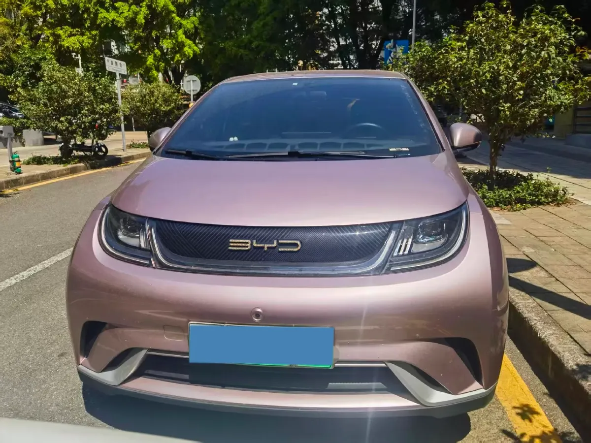 2023 BYD Dolphin BEV 44.928KWH,autocango,china used car exporter,china ev exporter,chinese used car exporter,chinese used ev exporter