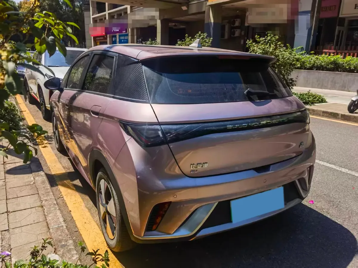 2023 BYD Dolphin BEV 44.928KWH,autocango,china used car exporter,china ev exporter,chinese used car exporter,chinese used ev exporter