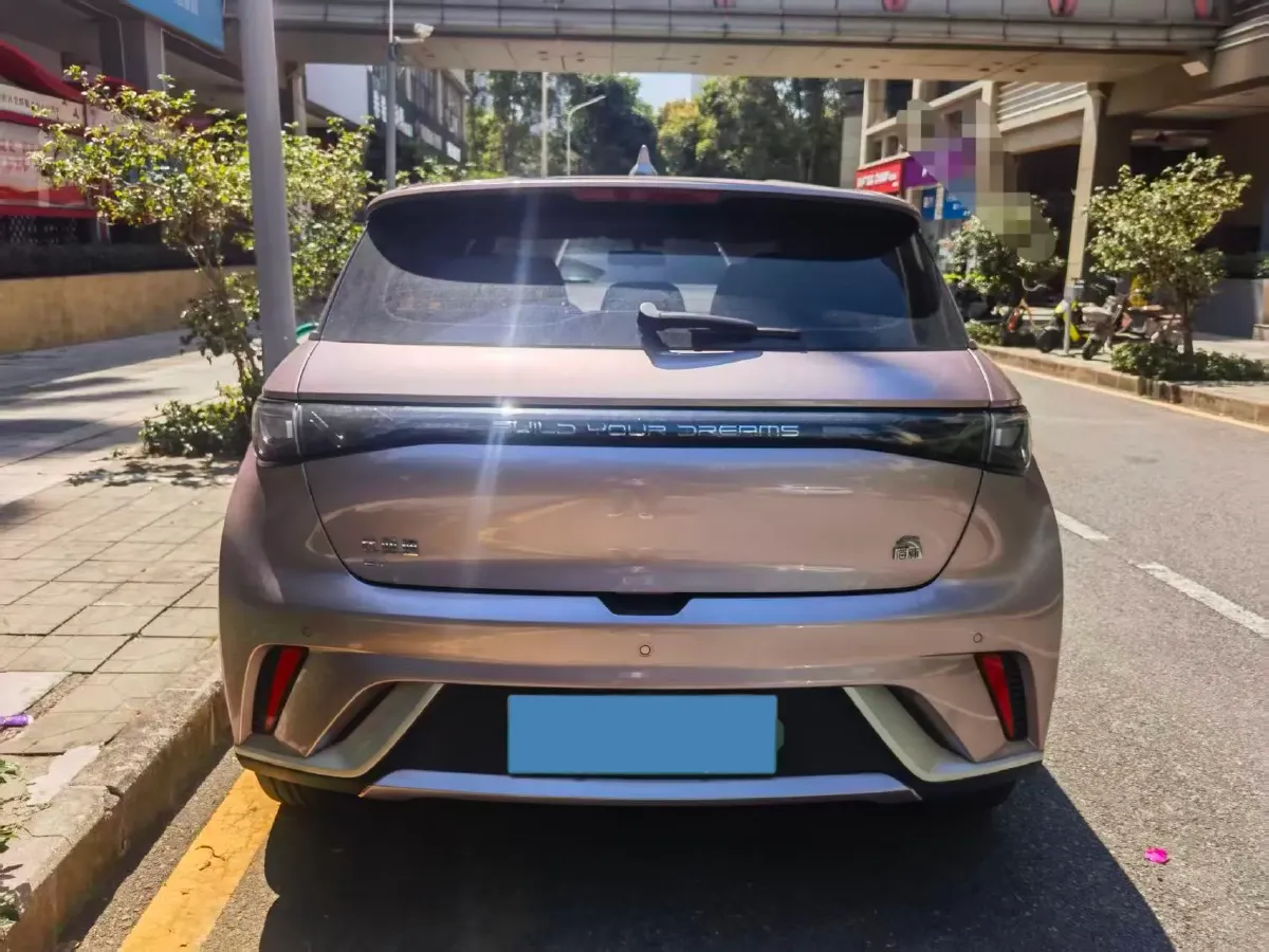 2023 BYD Dolphin BEV 44.928KWH,autocango,china used car exporter,china ev exporter,chinese used car exporter,chinese used ev exporter