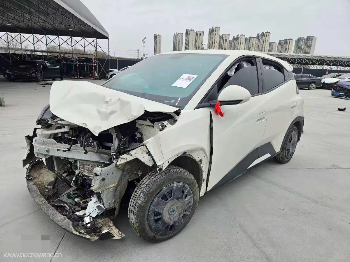 2025 BYD Seagull BEV 30.08KWH,autocango,china used car exporter,china ev exporter,chinese used car exporter,chinese used ev exporter