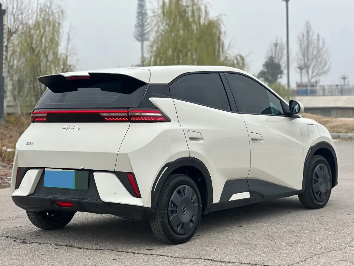 2025 BYD Seagull BEV 30.08KWH,autocango,china used car exporter,china ev exporter,chinese used car exporter,chinese used ev exporter