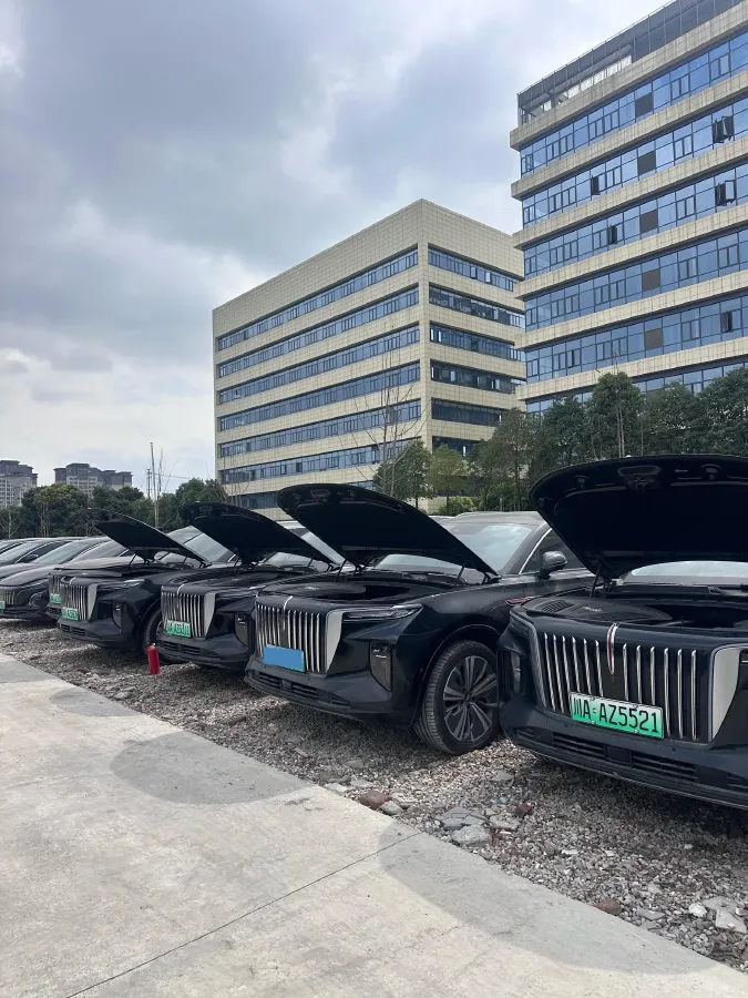 2024 HongQi E-HS9 BEV 120KWH,autocango,china used car exporter,china ev exporter,chinese used car exporter,chinese used ev exporter