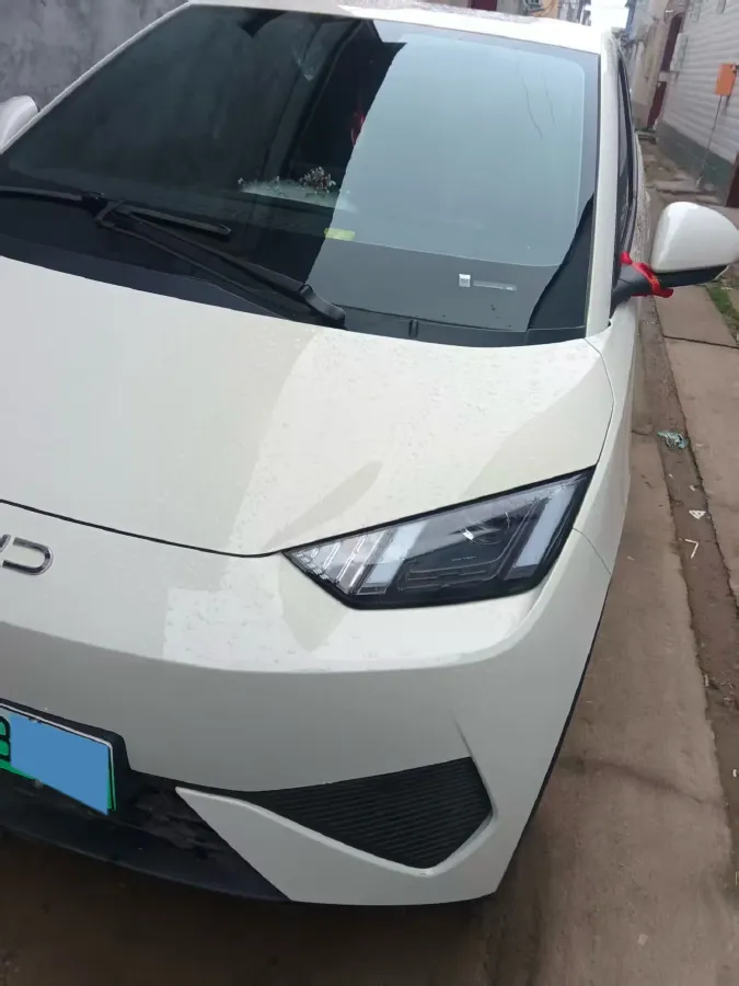 2025 BYD Seagull BEV 30.08KWH,autocango,china used car exporter,china ev exporter,chinese used car exporter,chinese used ev exporter