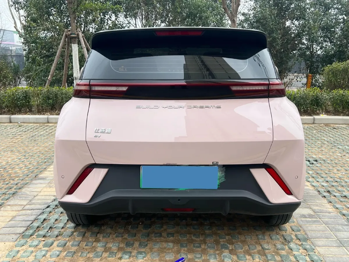 2024 BYD Seagull BEV 30.08KWH,autocango,china used car exporter,china ev exporter,chinese used car exporter,chinese used ev exporter