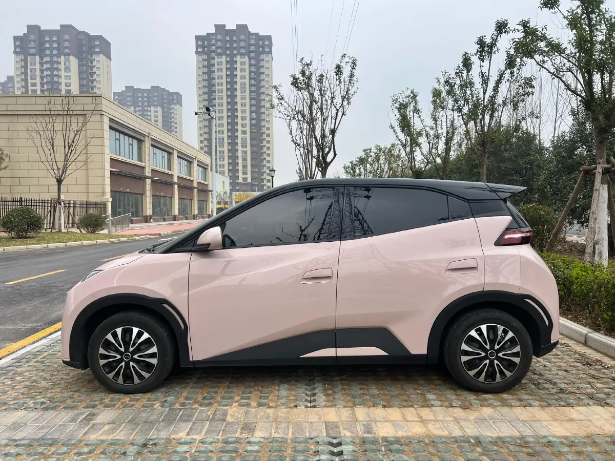 2024 BYD Seagull BEV 30.08KWH,autocango,china used car exporter,china ev exporter,chinese used car exporter,chinese used ev exporter