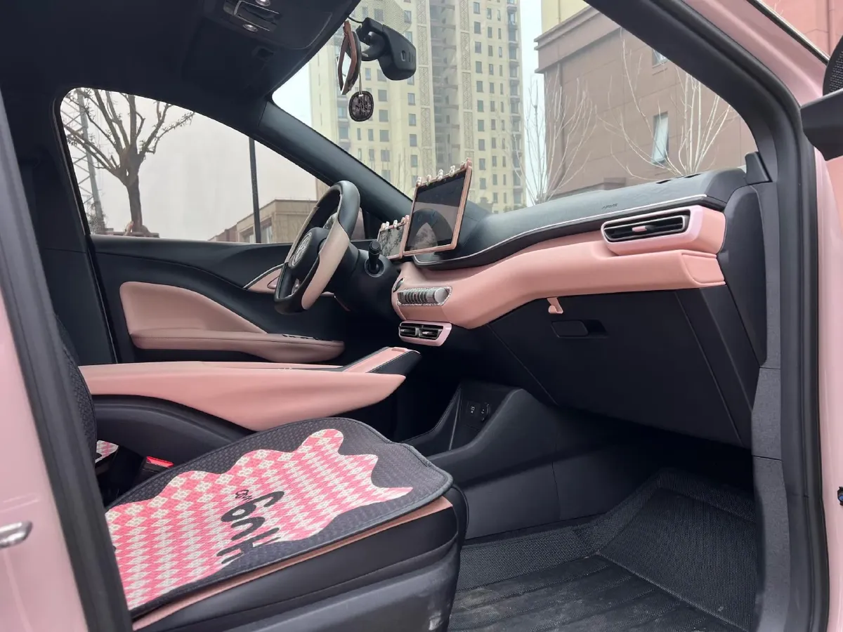 2024 BYD Seagull BEV 30.08KWH,autocango,china used car exporter,china ev exporter,chinese used car exporter,chinese used ev exporter