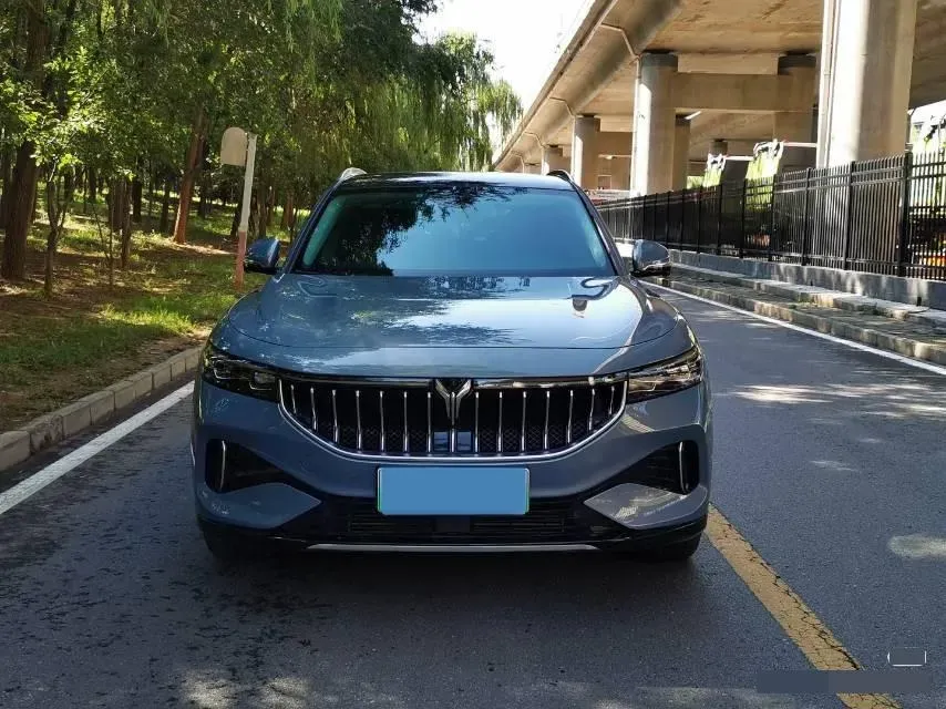 2021 Voyah FREE Range Extended 109HP REEV 33KWH,autocango,china used car exporter,china ev exporter,chinese used car exporter,chinese used ev exporter