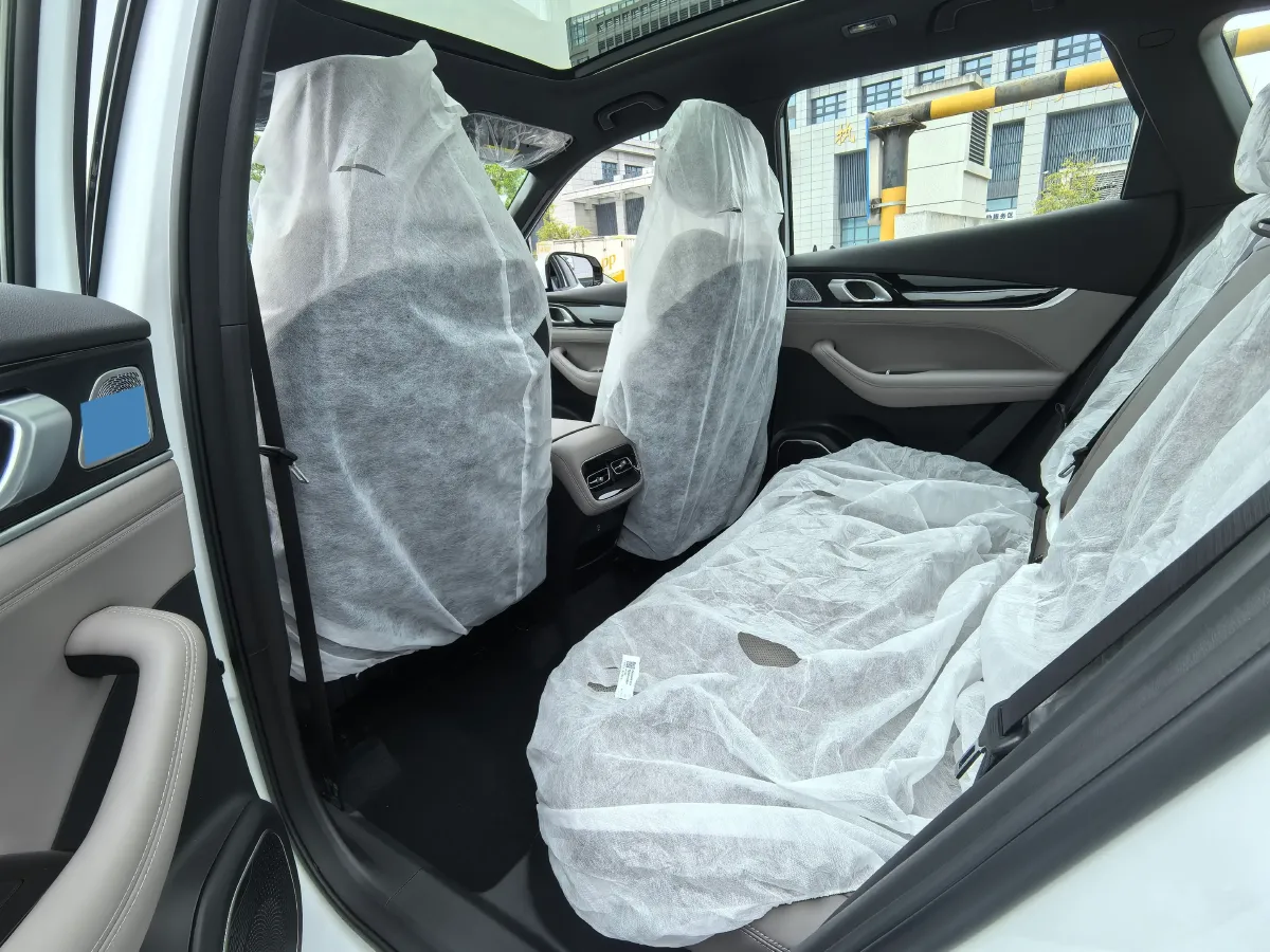 2025 Geely StarRay 1.5T 181HP L4 7DCT,autocango,china used car exporter,china ev exporter,chinese used car exporter,chinese used ev exporter