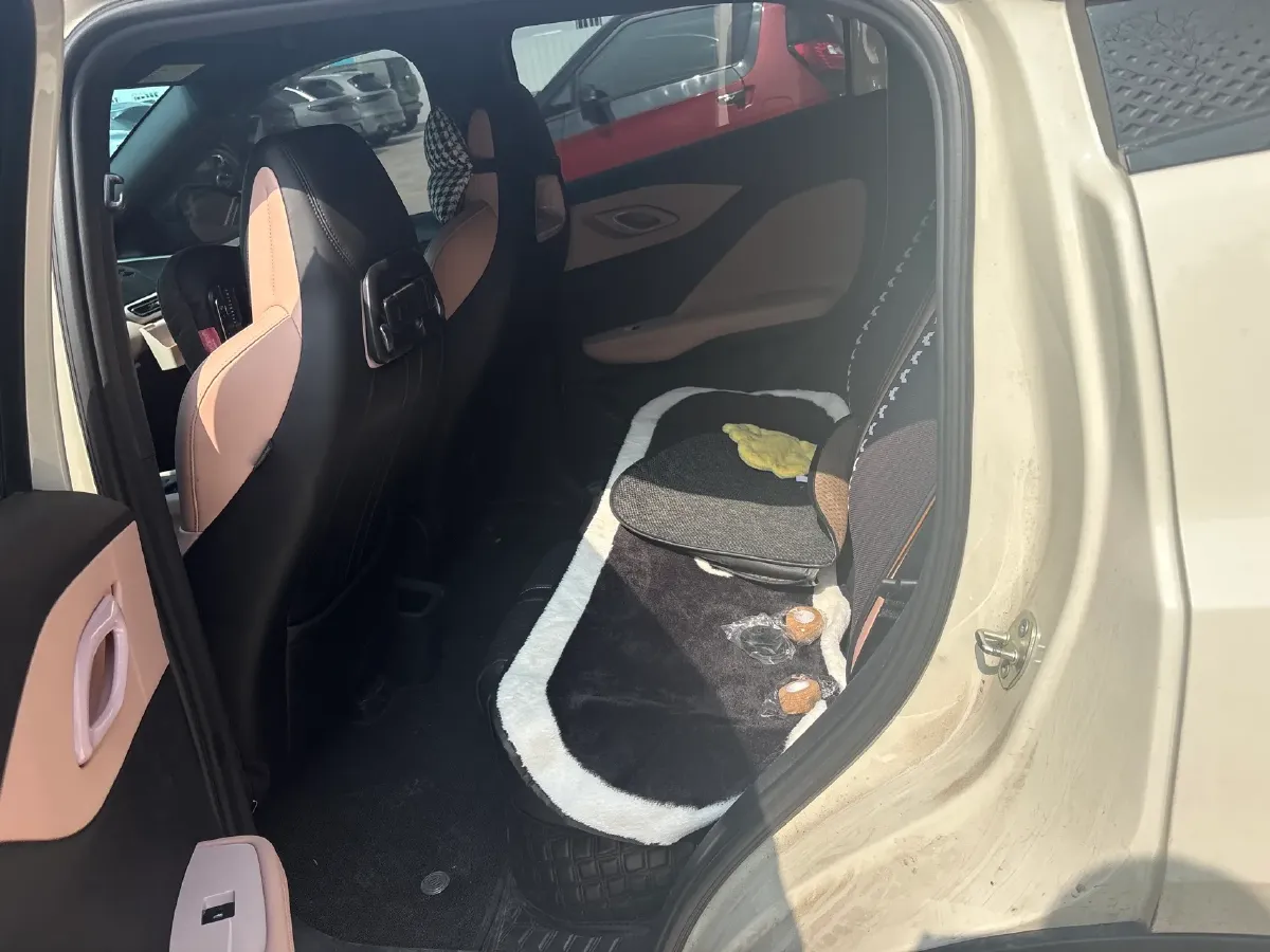 2024 BYD Seagull BEV 38.88KWH,autocango,china used car exporter,china ev exporter,chinese used car exporter,chinese used ev exporter