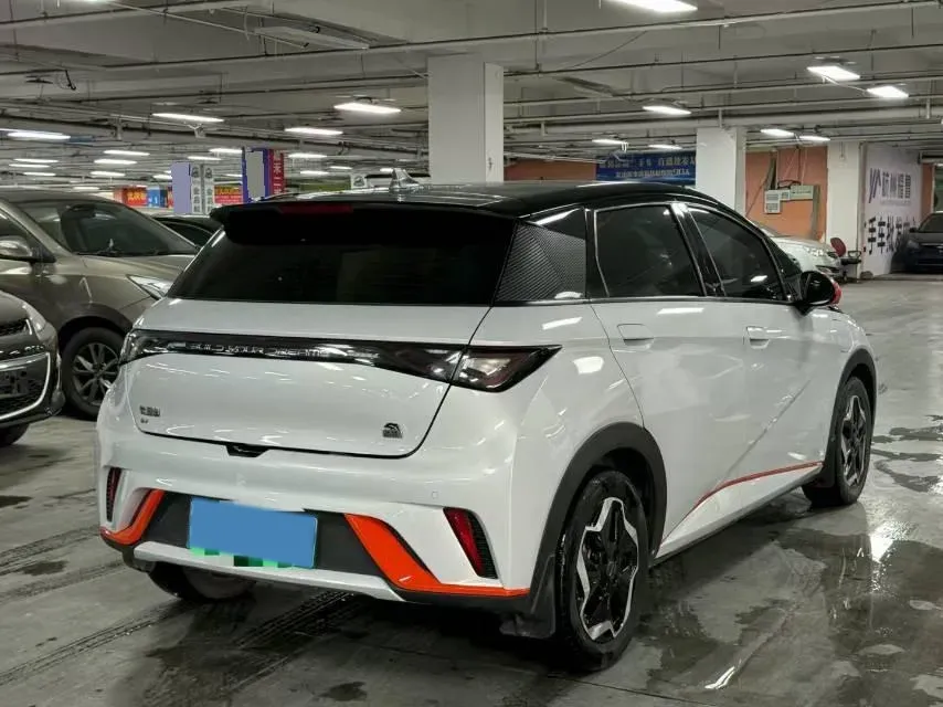 2021 BYD Dolphin BEV 44.9KWH,autocango,china used car exporter,china ev exporter,chinese used car exporter,chinese used ev exporter