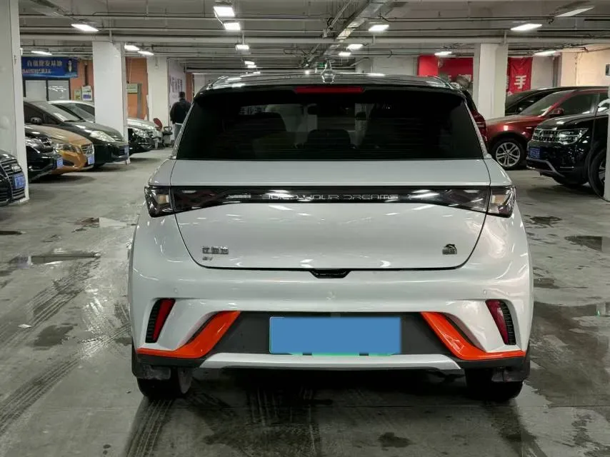 2021 BYD Dolphin BEV 44.9KWH,autocango,china used car exporter,china ev exporter,chinese used car exporter,chinese used ev exporter