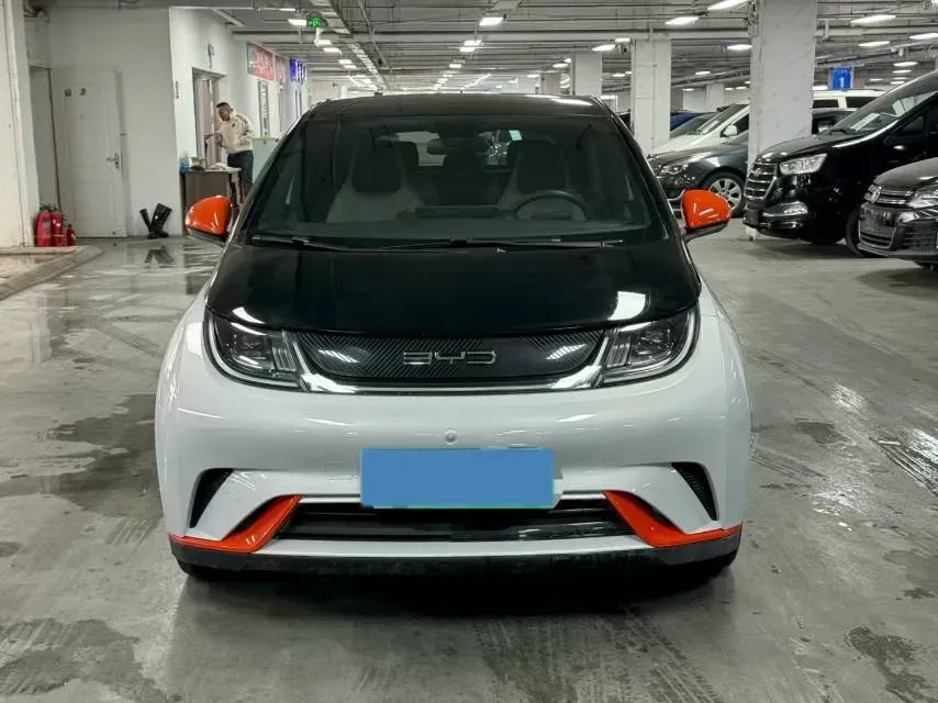 2021 BYD Dolphin BEV 44.9KWH,autocango,china used car exporter,china ev exporter,chinese used car exporter,chinese used ev exporter
