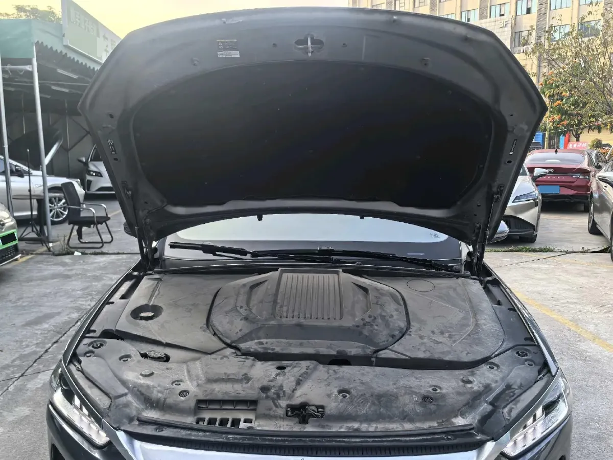 2021 DongFeng FuKang e Elysee BEV 30.7KWH,autocango,china used car exporter,china ev exporter,chinese used car exporter,chinese used ev exporter