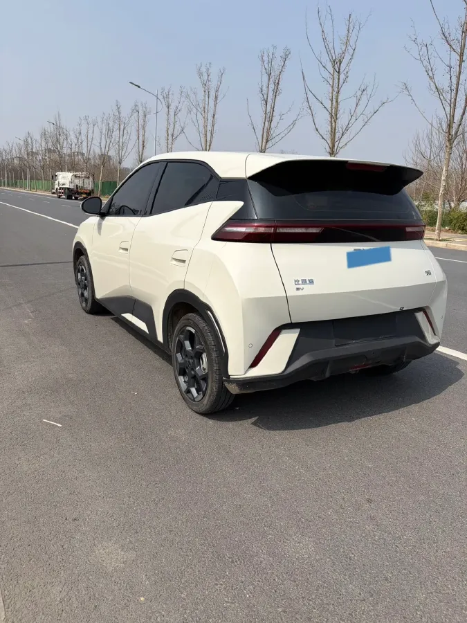 2025 BYD Seagull BEV 30.08KWH,autocango,china used car exporter,china ev exporter,chinese used car exporter,chinese used ev exporter