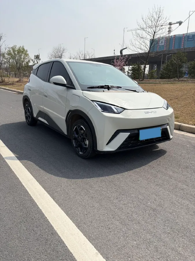2025 BYD Seagull BEV 30.08KWH,autocango,china used car exporter,china ev exporter,chinese used car exporter,chinese used ev exporter