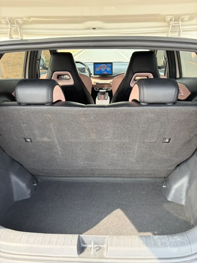 2025 BYD Seagull BEV 30.08KWH,autocango,china used car exporter,china ev exporter,chinese used car exporter,chinese used ev exporter