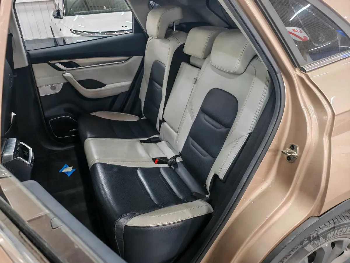 2018 Weltmeister EX5 BEV 52.56KWH,autocango,china used car exporter,china ev exporter,chinese used car exporter,chinese used ev exporter