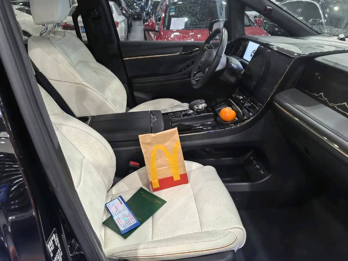 2023 GAC Trumpchi M8 2.0T 252HP L4 8AT,autocango,china used car exporter,china ev exporter,chinese used car exporter,chinese used ev exporter