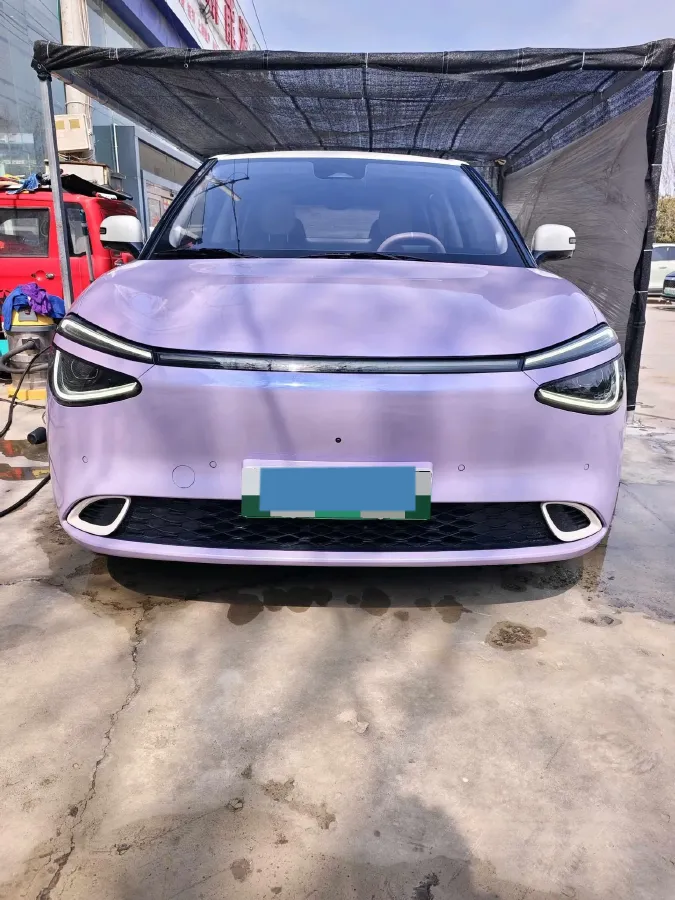2024 DongFeng eπ 01 BEV 42.3KWH,autocango,china used car exporter,china ev exporter,chinese used car exporter,chinese used ev exporter