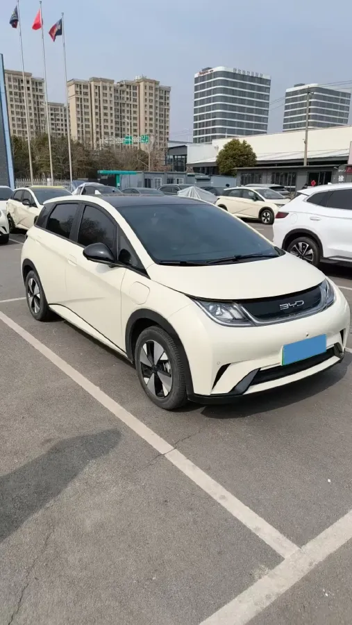 2023 BYD Dolphin BEV 44.928KWH,autocango,china used car exporter,china ev exporter,chinese used car exporter,chinese used ev exporter