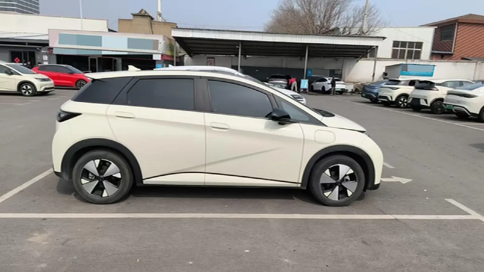 2023 BYD Dolphin BEV 44.928KWH,autocango,china used car exporter,china ev exporter,chinese used car exporter,chinese used ev exporter