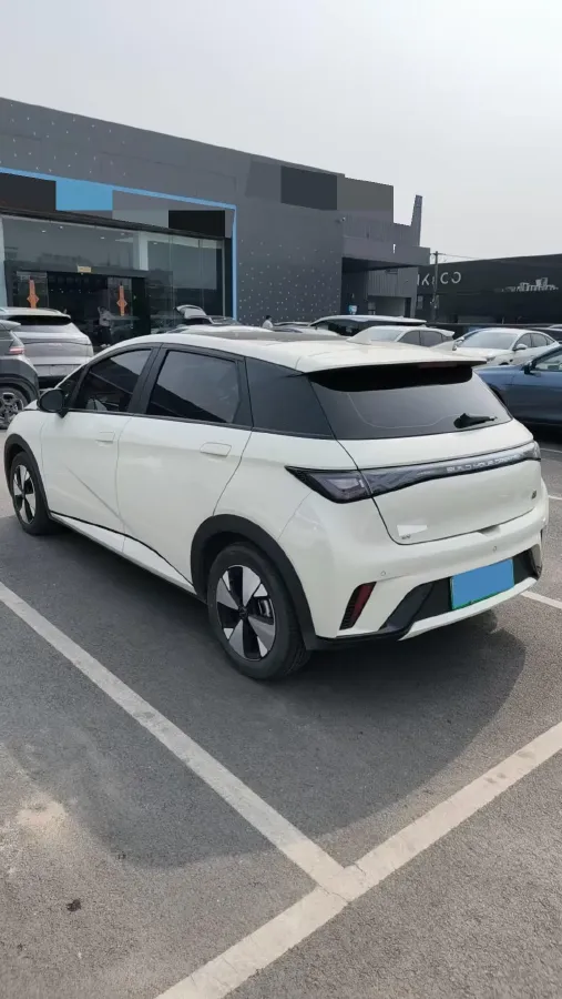 2023 BYD Dolphin BEV 44.928KWH,autocango,china used car exporter,china ev exporter,chinese used car exporter,chinese used ev exporter