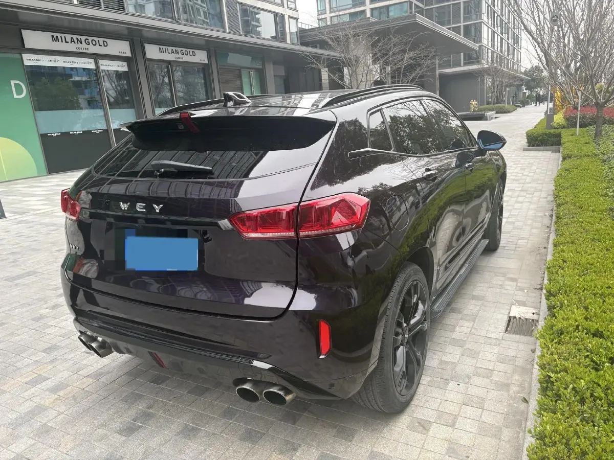 2017 WEY VV7 2.0T 234HP L4 7DCT,autocango,china used car exporter,china ev exporter,chinese used car exporter,chinese used ev exporter