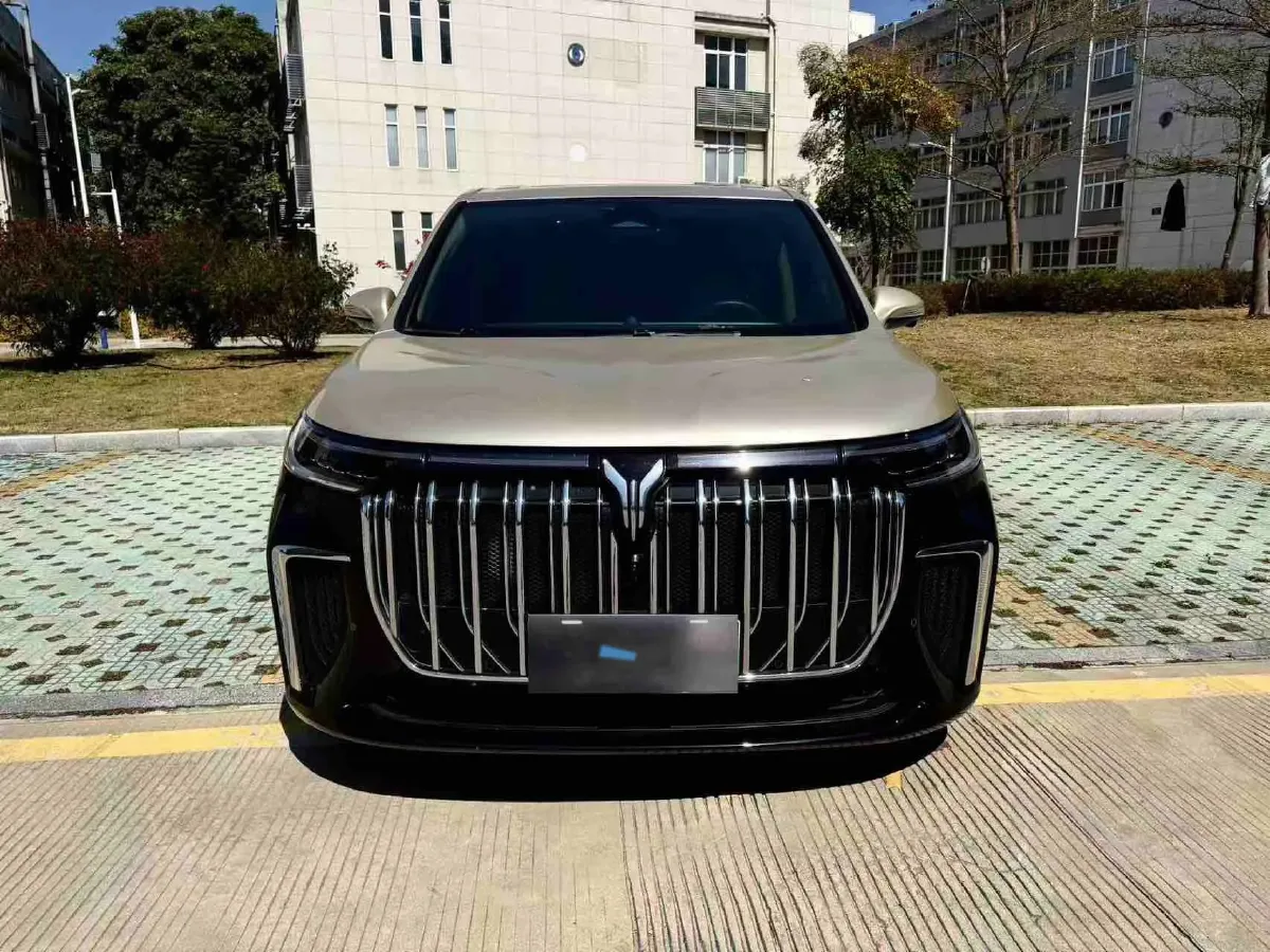 2024 Voyah Dream 1.5T 150HP L4 PHEV 43KWH,autocango,china used car exporter,china ev exporter,chinese used car exporter,chinese used ev exporter