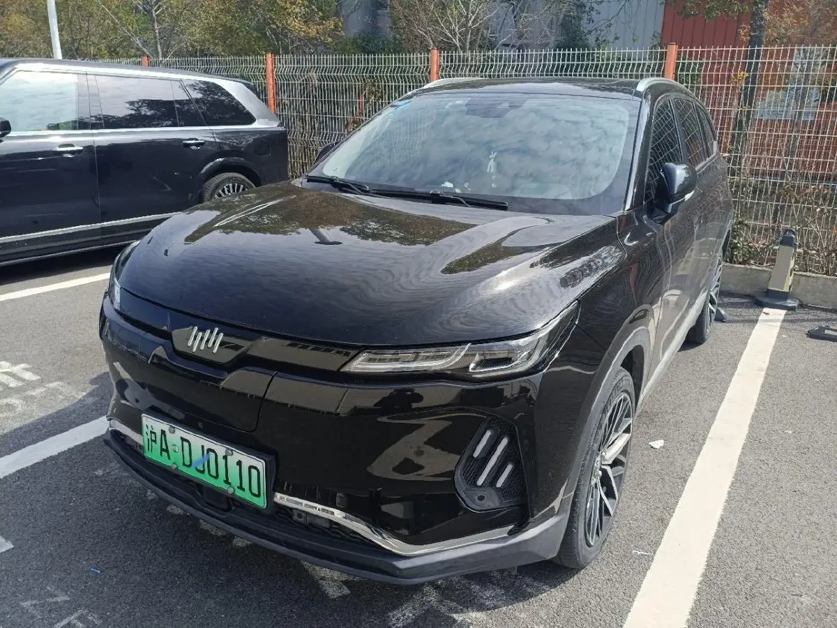2020 Weltmeister EX6 BEV 69KWH,autocango,china used car exporter,china ev exporter,chinese used car exporter,chinese used ev exporter