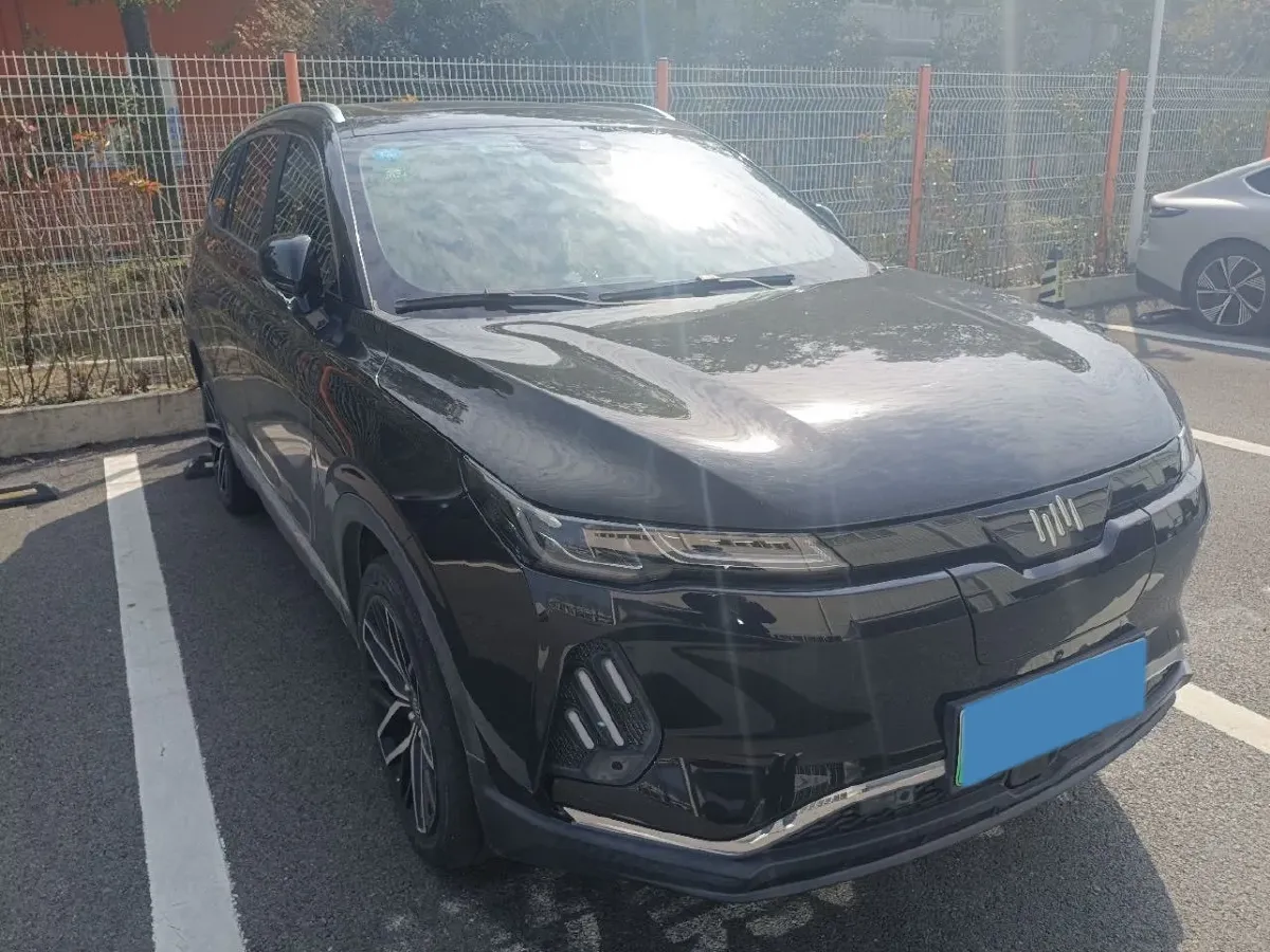 2020 Weltmeister EX6 BEV 69KWH,autocango,china used car exporter,china ev exporter,chinese used car exporter,chinese used ev exporter