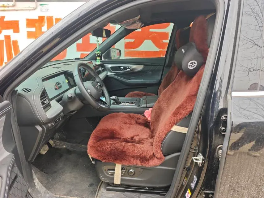 2025 GAC Trumpchi GS8 2.0T 252HP L4 8AT,autocango,china used car exporter,china ev exporter,chinese used car exporter,chinese used ev exporter