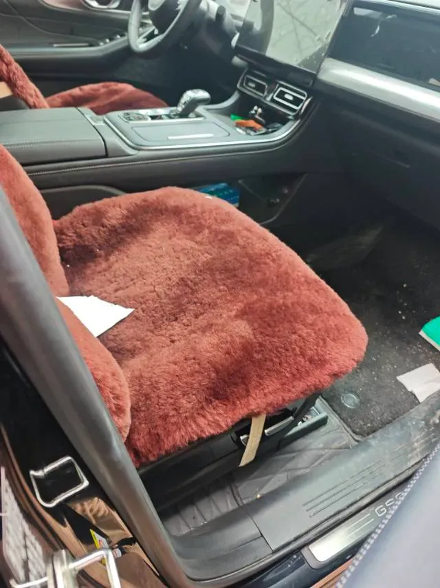 2025 GAC Trumpchi GS8 2.0T 252HP L4 8AT,autocango,china used car exporter,china ev exporter,chinese used car exporter,chinese used ev exporter