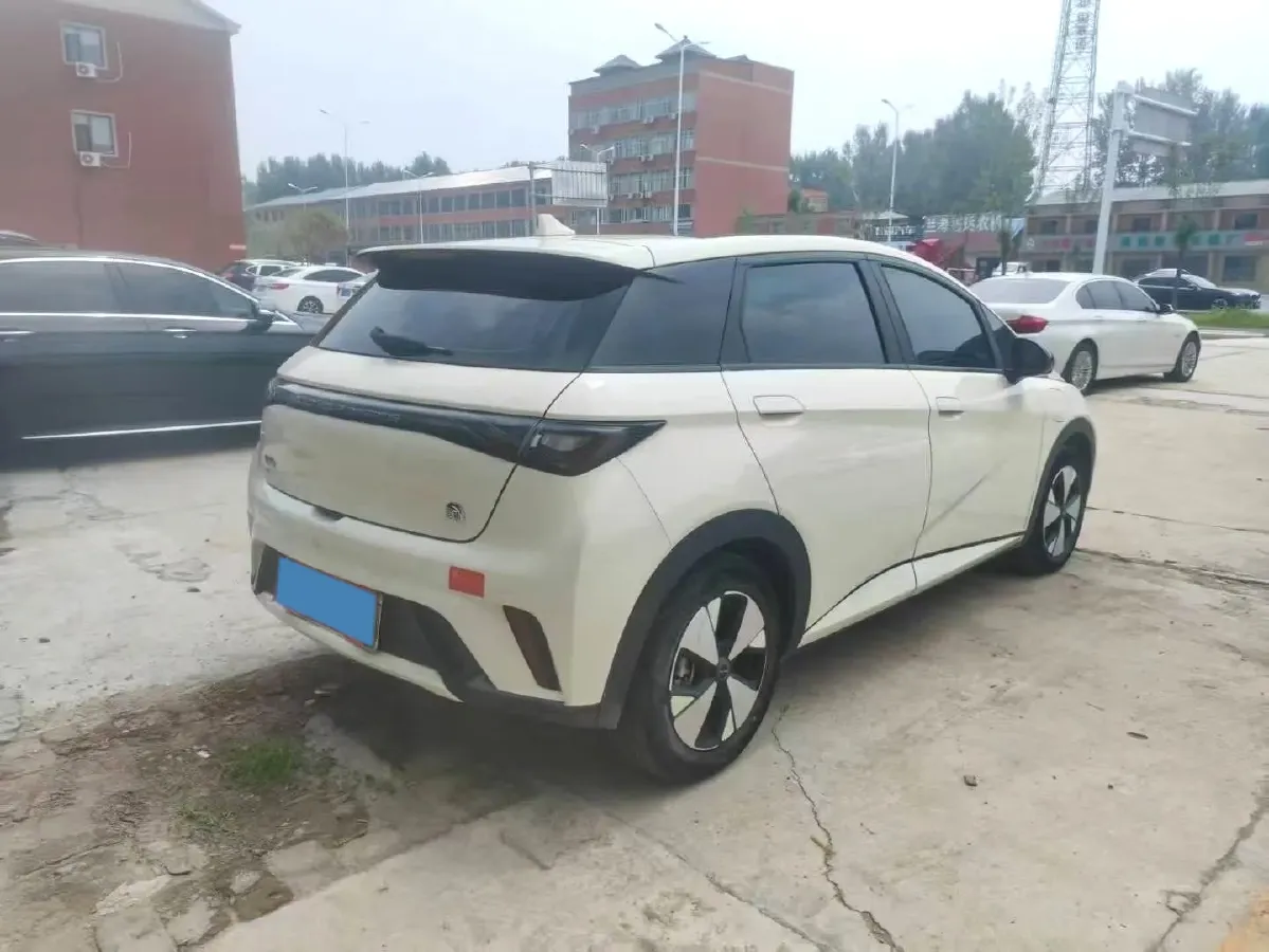 2023 BYD Dolphin BEV 44.928KWH,autocango,china used car exporter,china ev exporter,chinese used car exporter,chinese used ev exporter