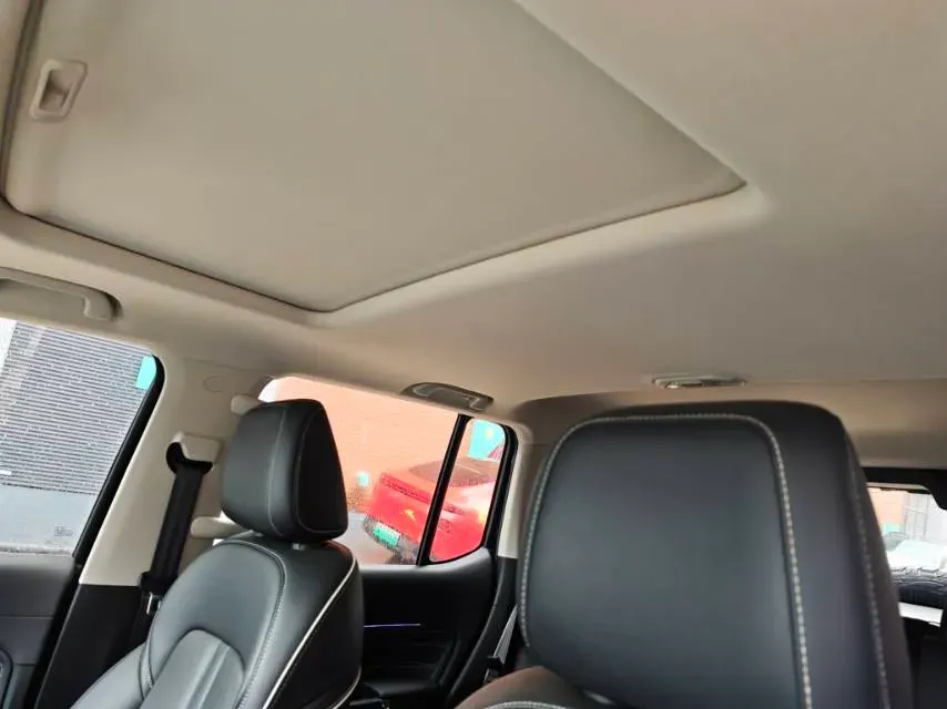 2021 Tank 300 2.0T 227HP L4 8AT,autocango,china used car exporter,china ev exporter,chinese used car exporter,chinese used ev exporter