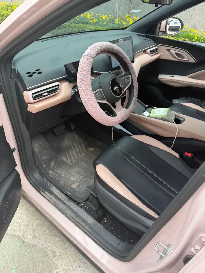 2025 BYD Seagull BEV 30.08KWH,autocango,china used car exporter,china ev exporter,chinese used car exporter,chinese used ev exporter