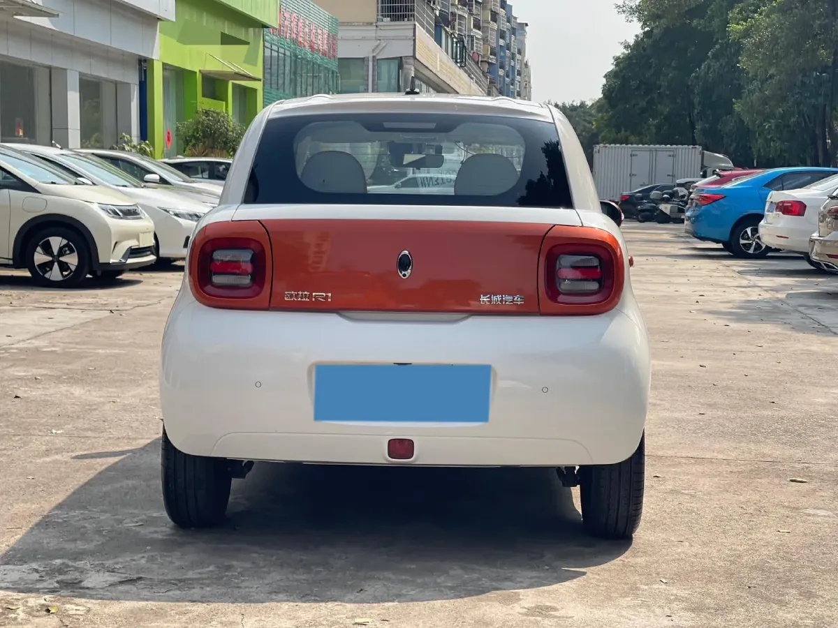2019 Ora BlackCat BEV 33KWH,autocango,china used car exporter,china ev exporter,chinese used car exporter,chinese used ev exporter