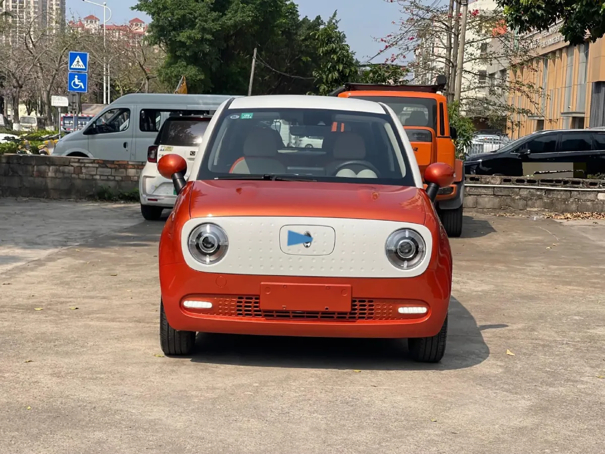 2019 Ora BlackCat BEV 33KWH,autocango,china used car exporter,china ev exporter,chinese used car exporter,chinese used ev exporter