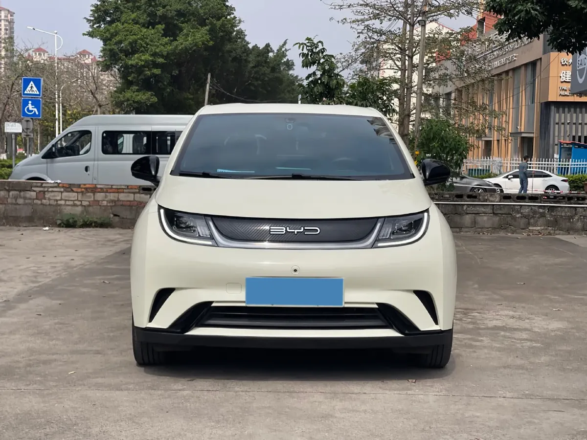 2023 BYD Dolphin BEV 44.928KWH,autocango,china used car exporter,china ev exporter,chinese used car exporter,chinese used ev exporter