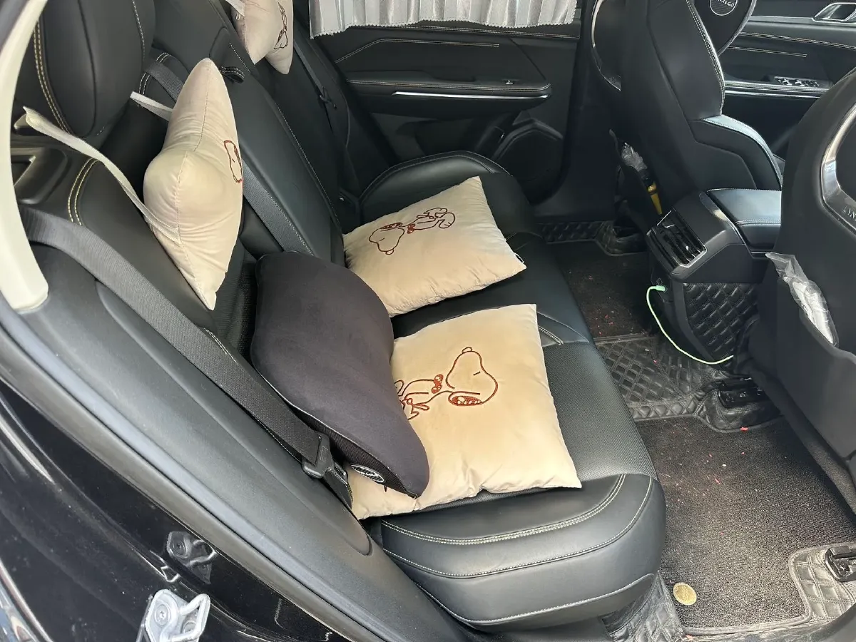 2023 MAXUS Interstellar 2.0T 261HP L4 8AT,autocango,china used car exporter,china ev exporter,chinese used car exporter,chinese used ev exporter