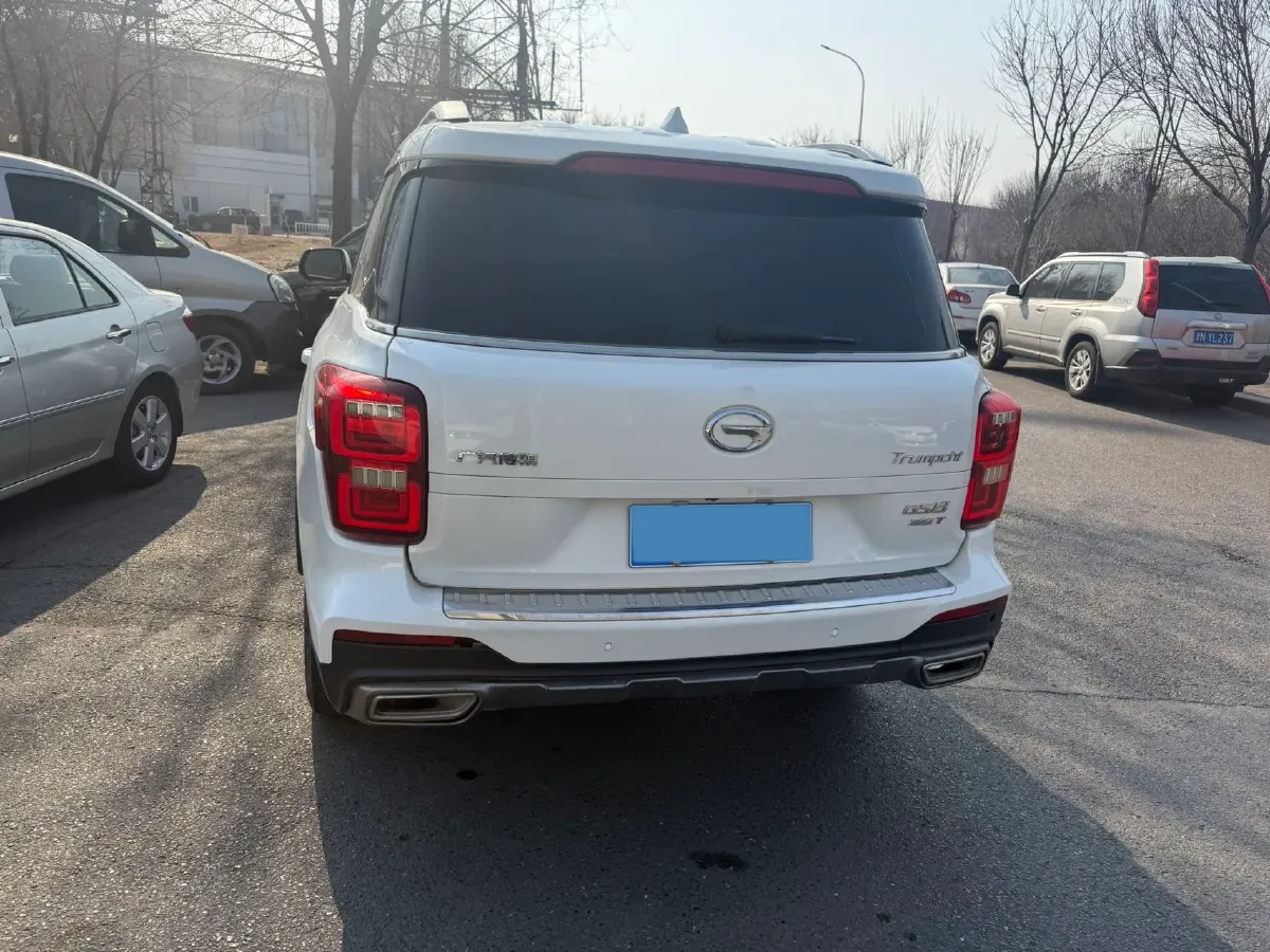 2019 GAC Trumpchi GS8 2.0T 252HP L4 6AT,autocango,china used car exporter,china ev exporter,chinese used car exporter,chinese used ev exporter