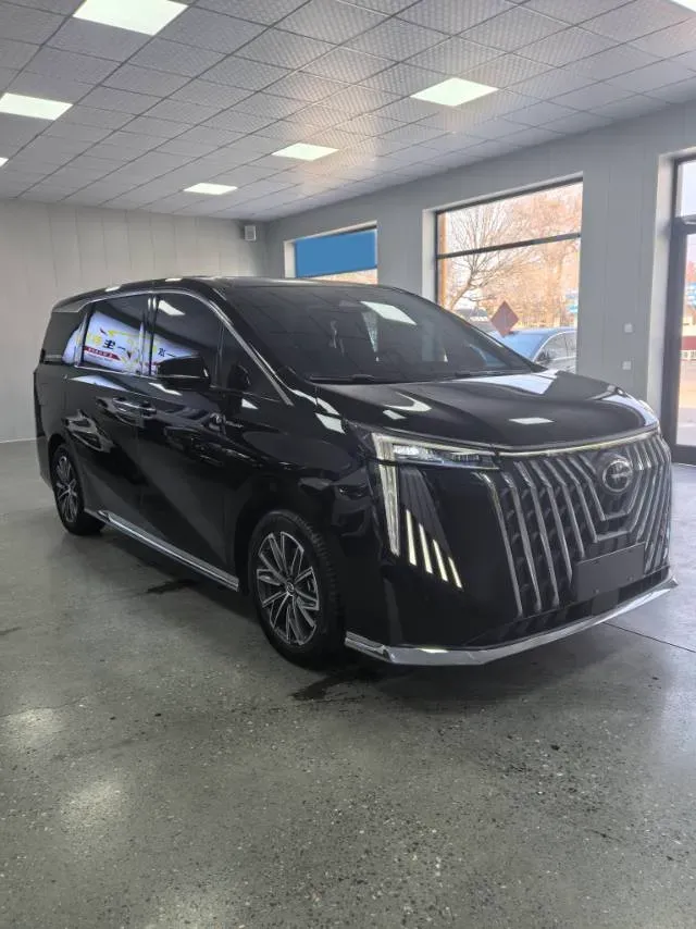 2024 GAC Trumpchi M8 2.0T 252HP L4 8AT,autocango,china used car exporter,china ev exporter,chinese used car exporter,chinese used ev exporter