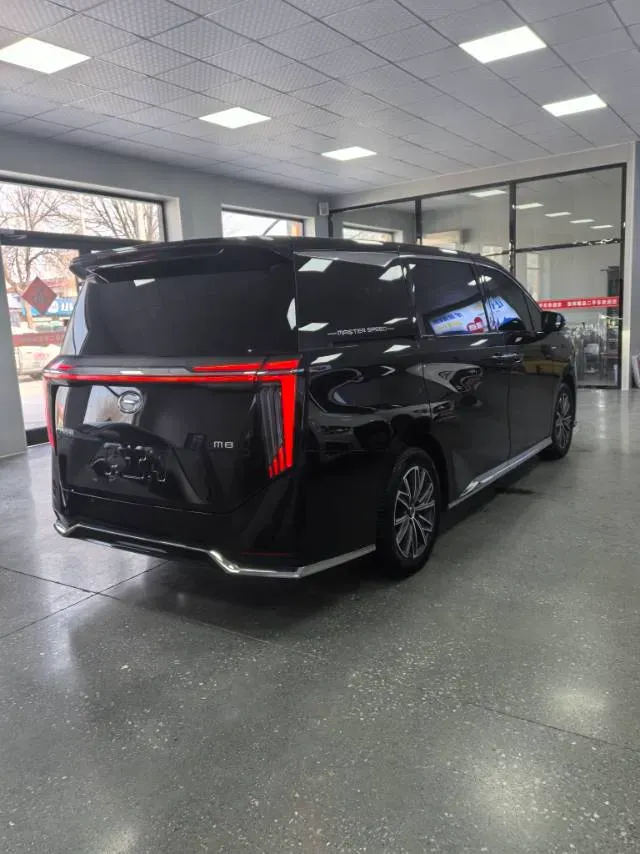 2024 GAC Trumpchi M8 2.0T 252HP L4 8AT,autocango,china used car exporter,china ev exporter,chinese used car exporter,chinese used ev exporter