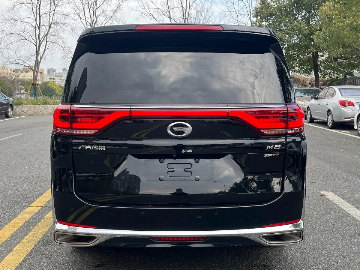 2021 GAC Trumpchi M8 2.0T 252HP L4 8AT,autocango,china used car exporter,china ev exporter,chinese used car exporter,chinese used ev exporter