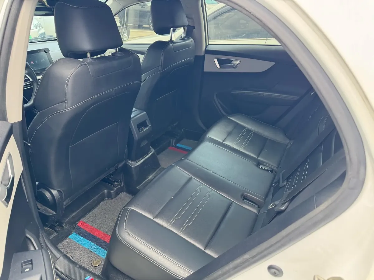 2019 BYD Qin BEV 53.1KWH,autocango,china used car exporter,china ev exporter,chinese used car exporter,chinese used ev exporter