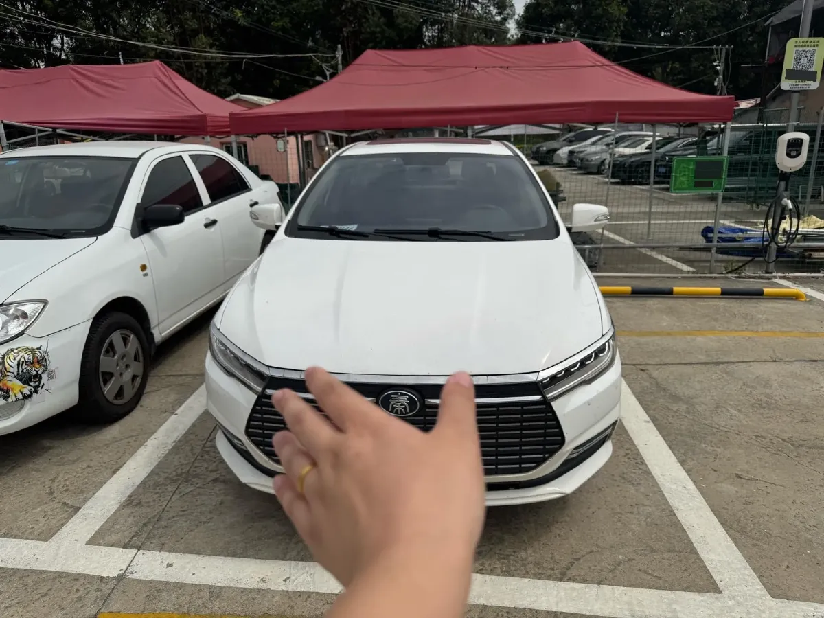 2019 BYD Qin BEV 53.1KWH,autocango,china used car exporter,china ev exporter,chinese used car exporter,chinese used ev exporter